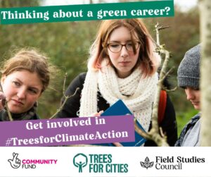Picture of three young people taking part in training with Trees for Cities 